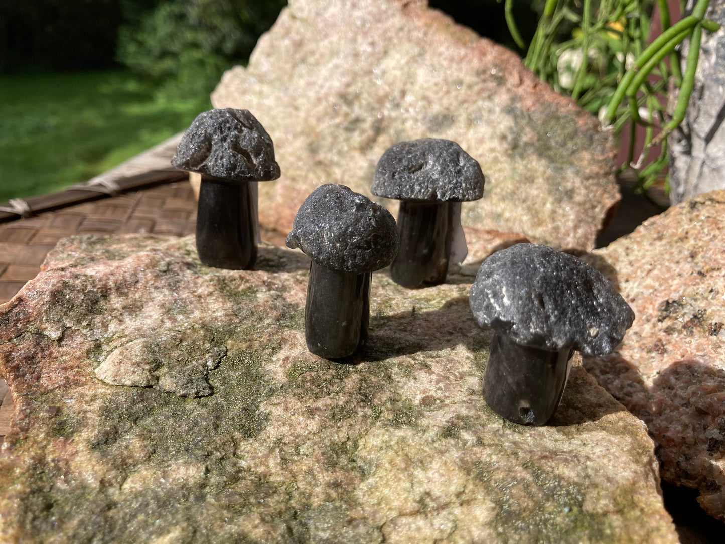 Agni Manitite Carved Mushrooms