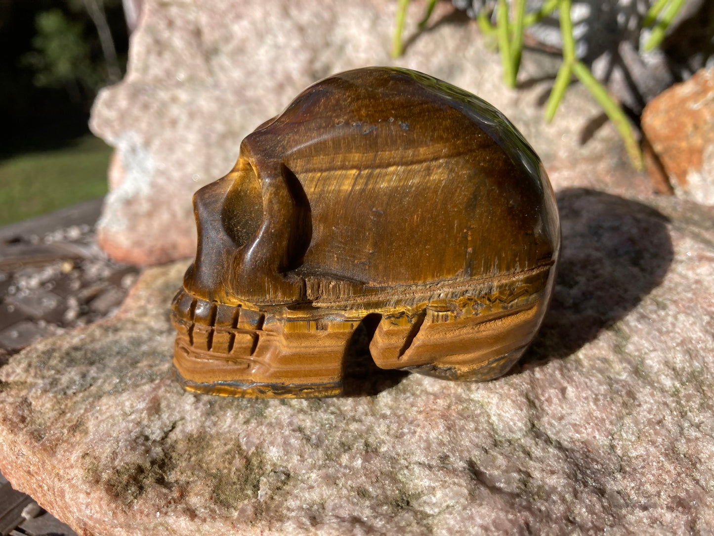 Tigers Eye Skull