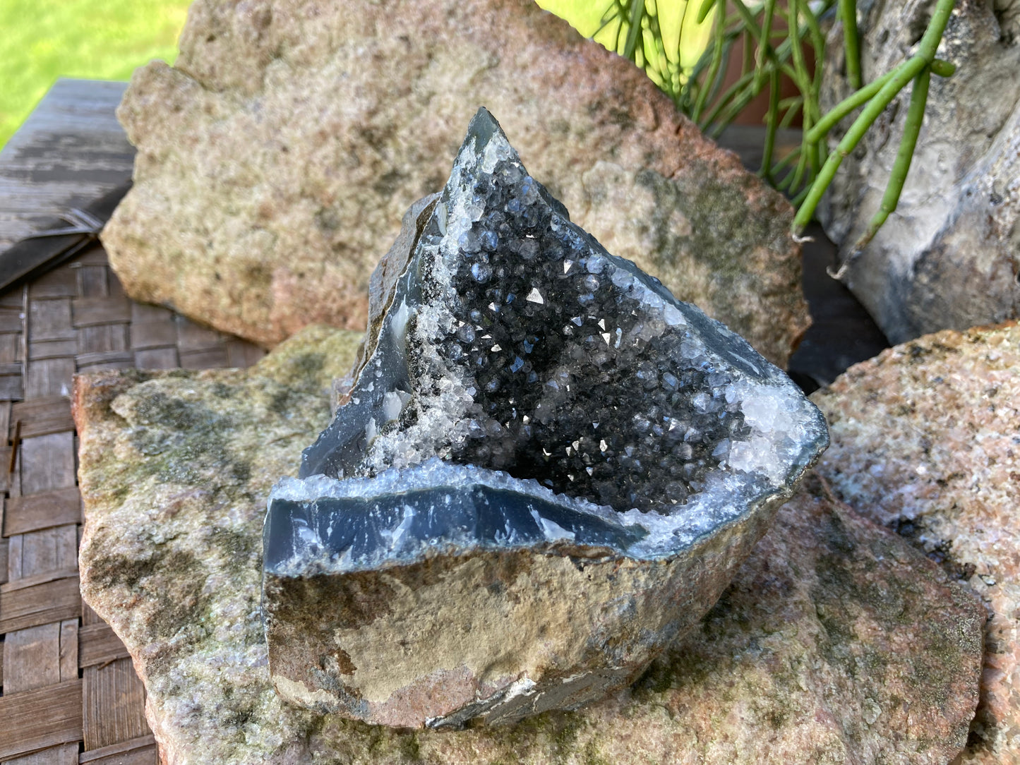 Black Amethyst