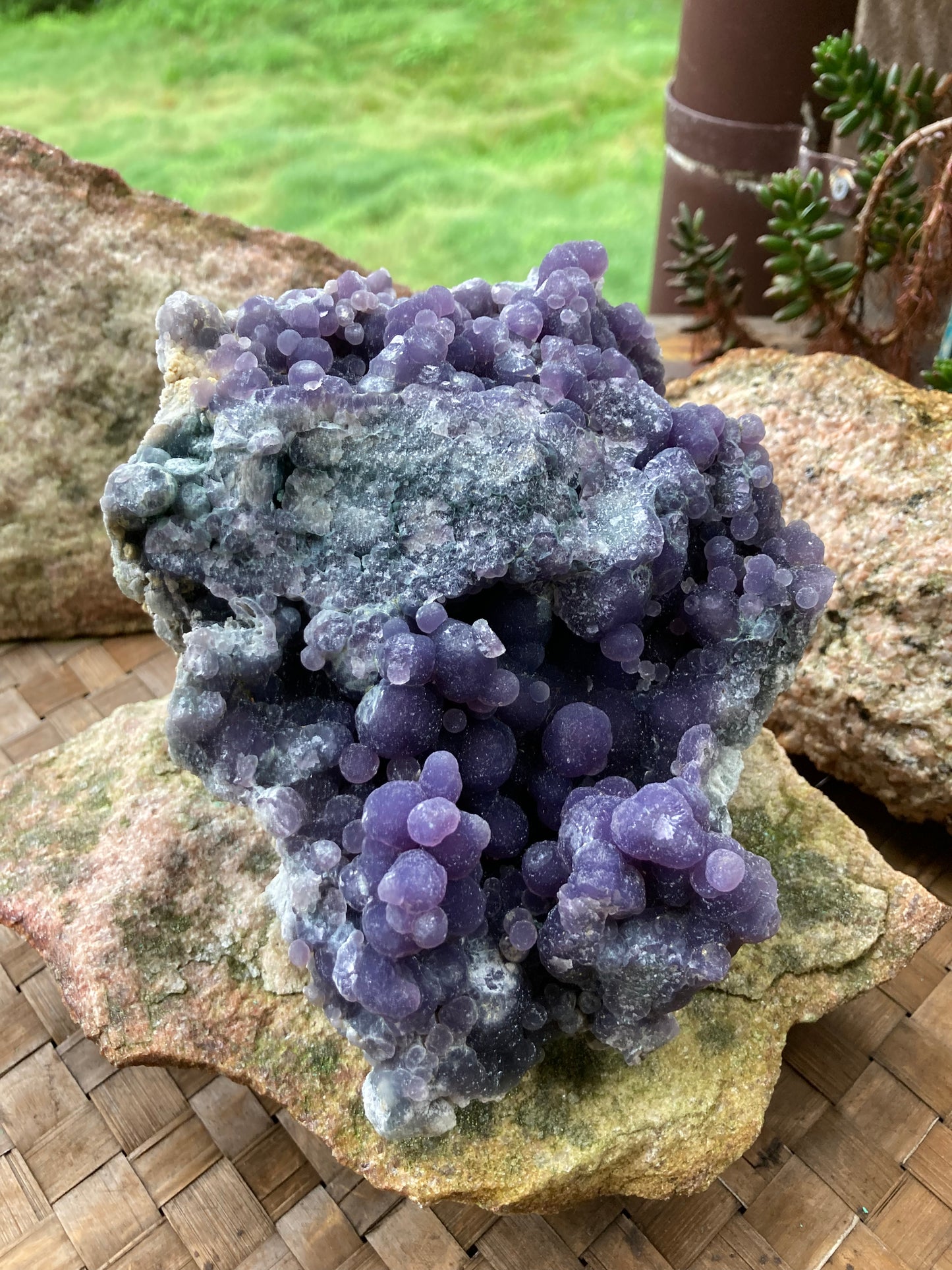 Grape Agate