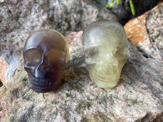 Yellow/Purple Fluorite Skulls