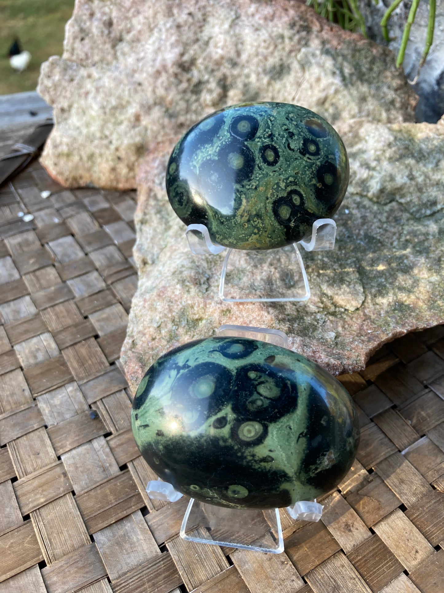 Kambaba Jasper Palmstones