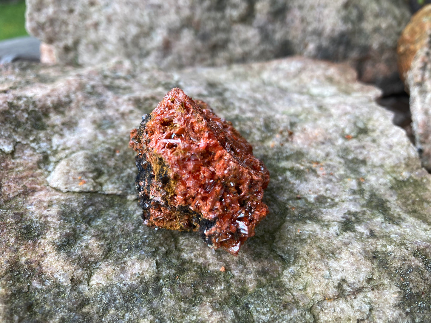 Tasmanian Crocoite