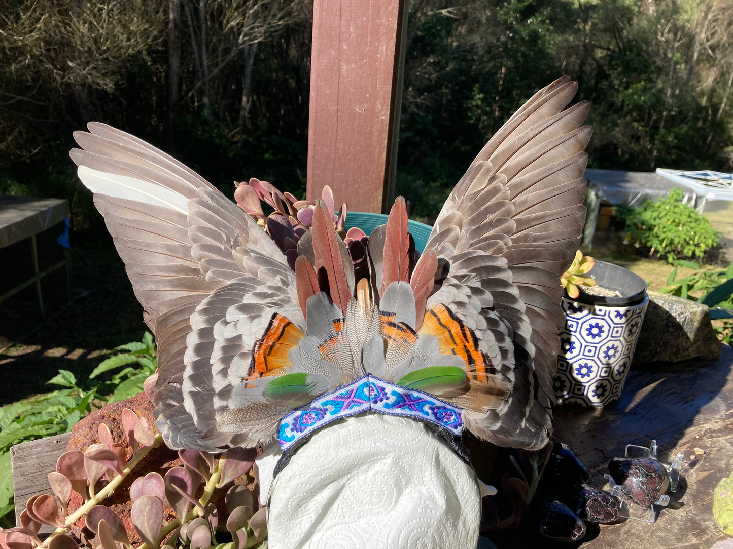 Pigeon Feather Crown