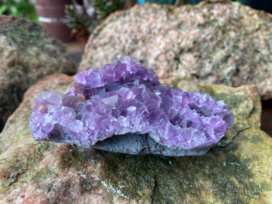 Purple Fluorite