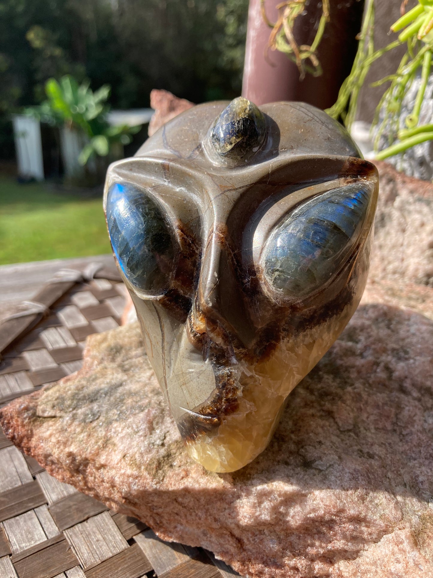 Septarian Alien Skull