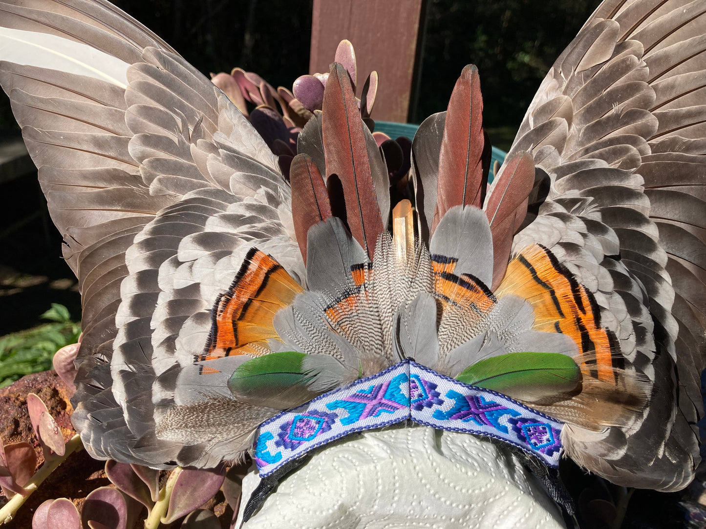 Pigeon Feather Crown