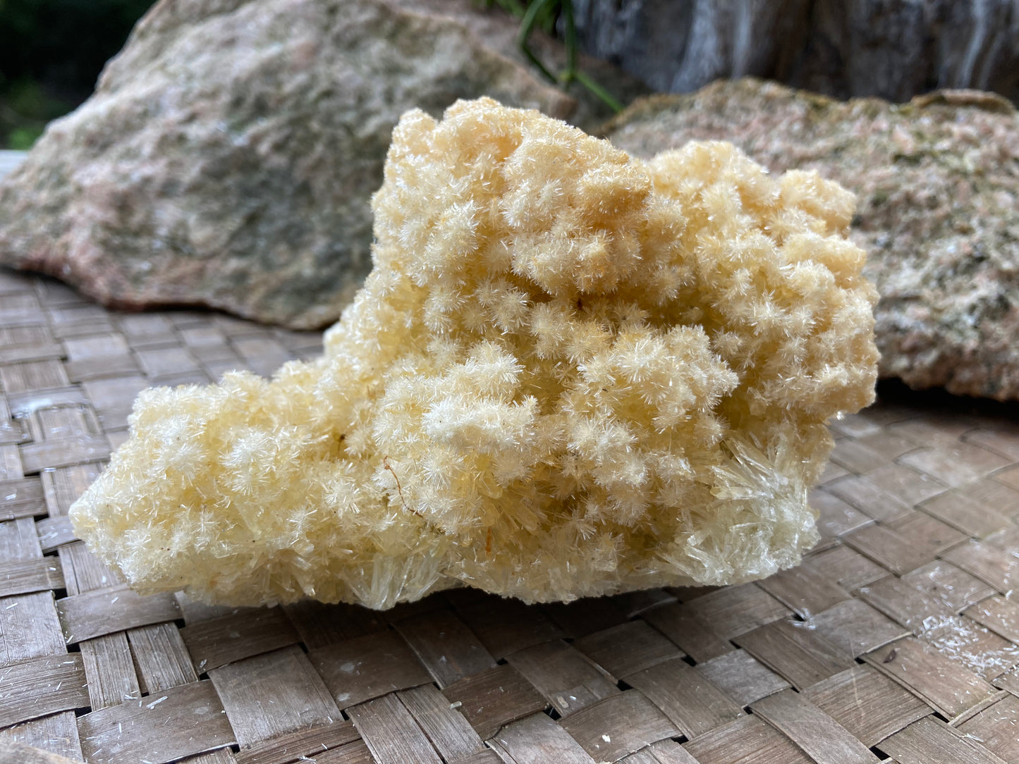 Yellow Gypsum Crystal Cluster