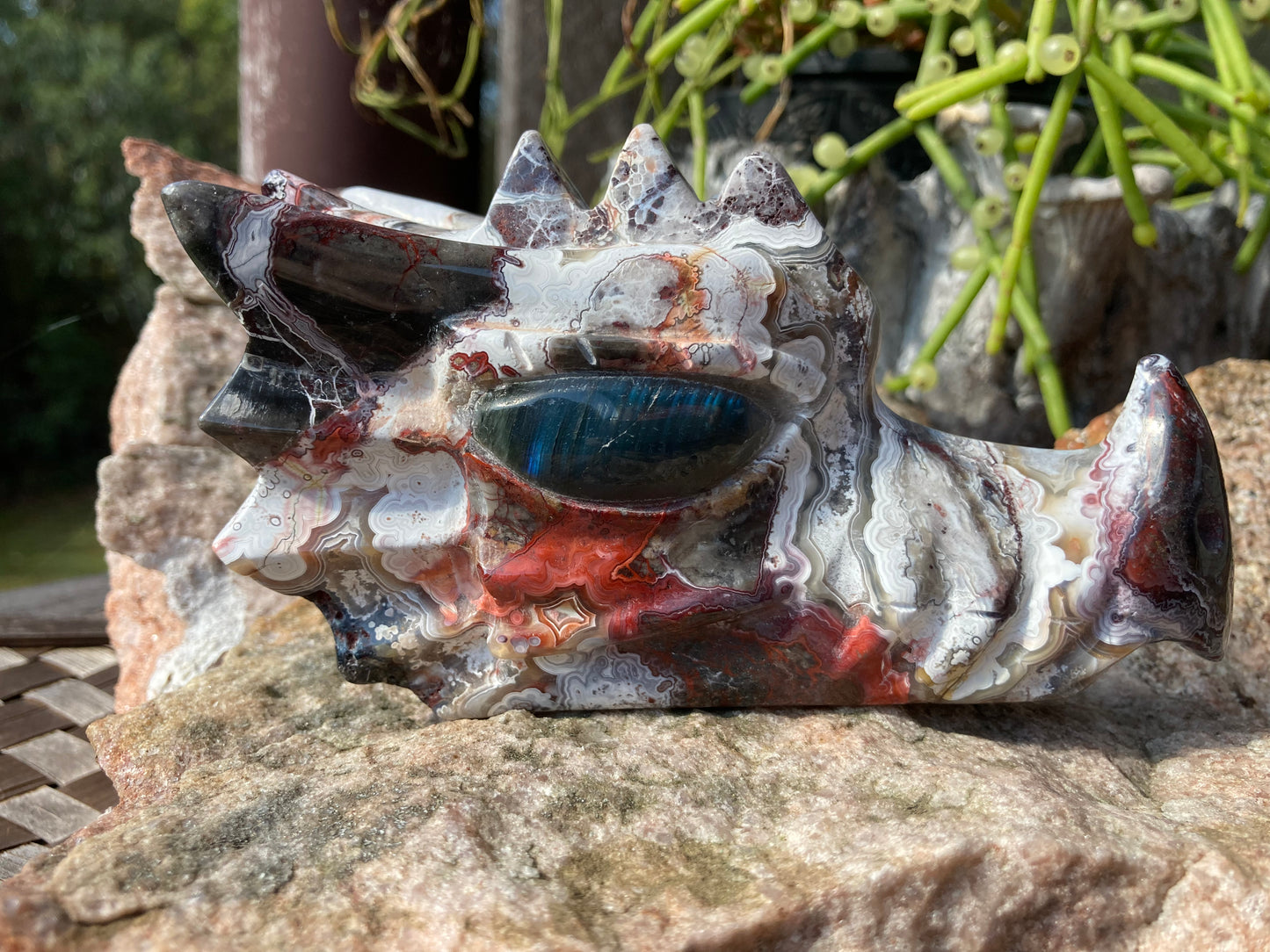 Mexican Crazy Lace Agate Dragon Skull