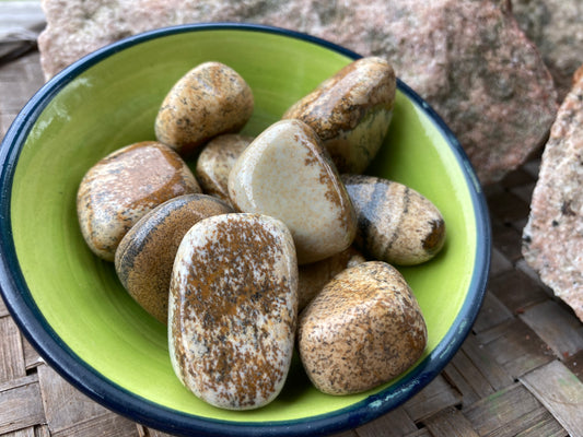 Picture Jasper Tumbled Stone