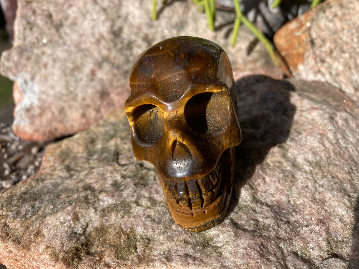 Tigers Eye Skull