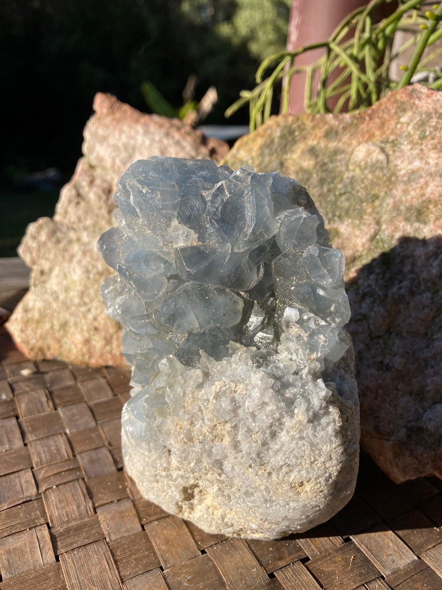 Celestite