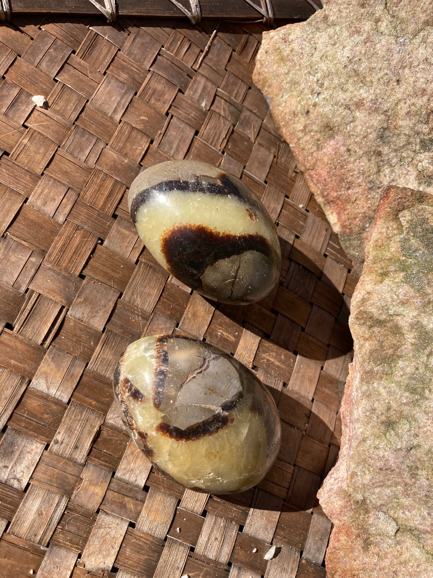 Septarian Palm Stones