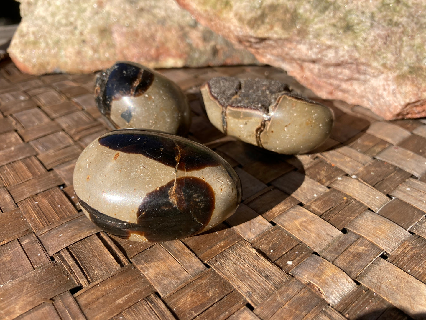 Septarian Palm Stones