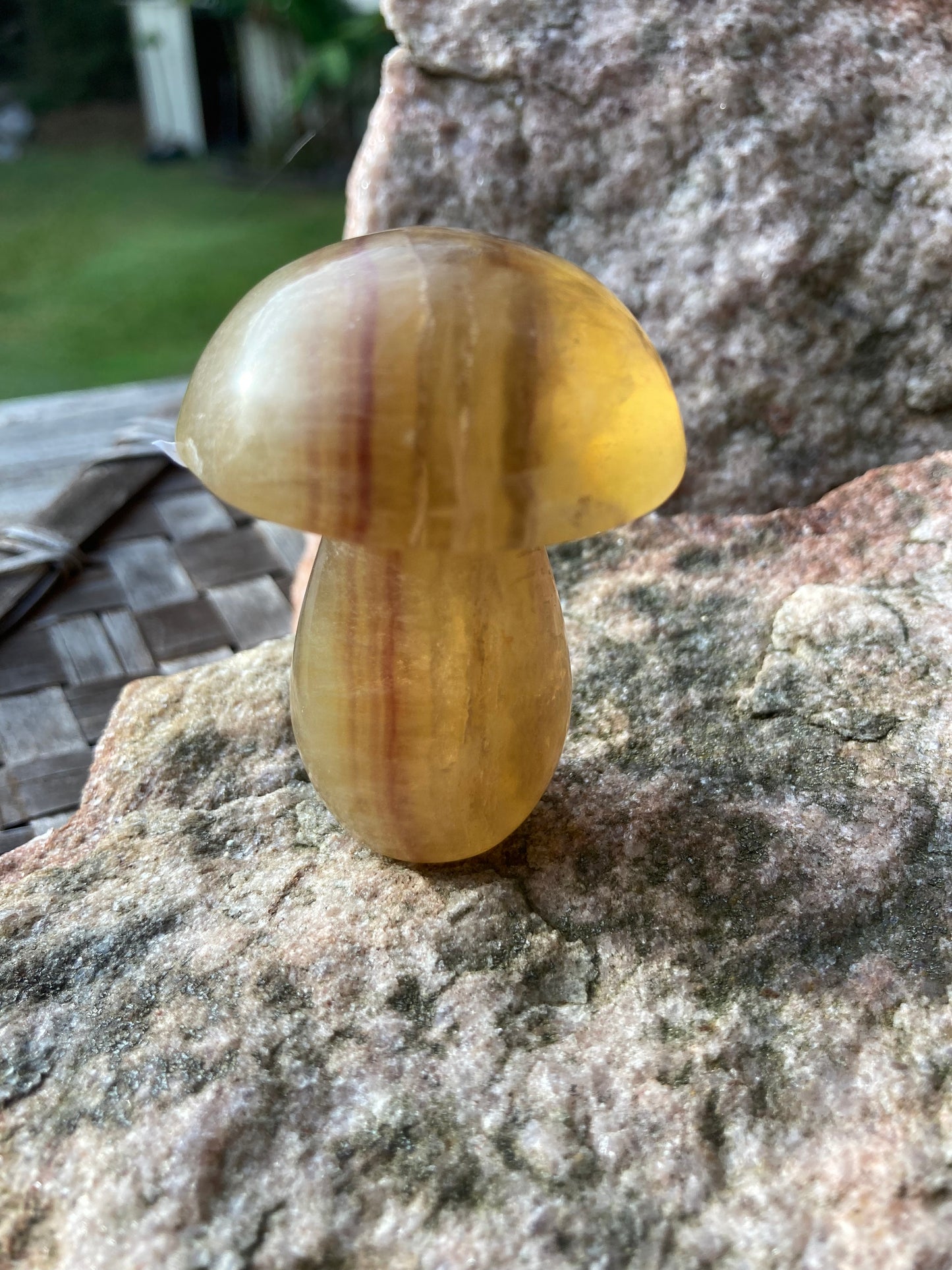 Yellow Fluorite Mushrooms