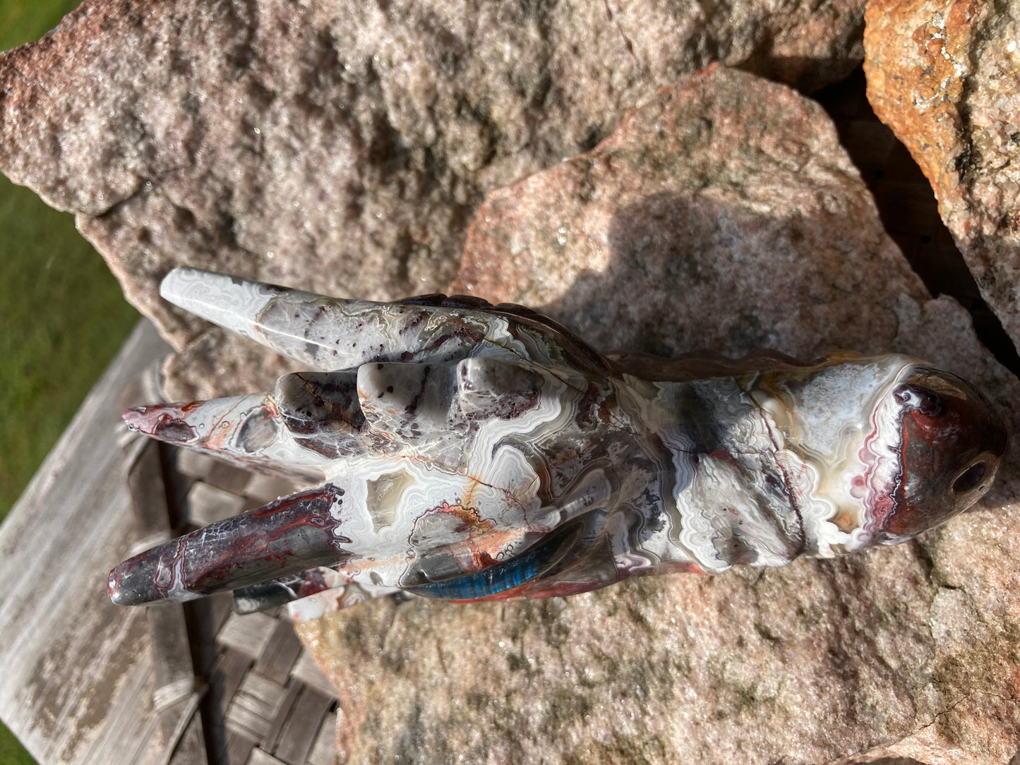 Mexican Crazy Lace Agate Dragon Skull