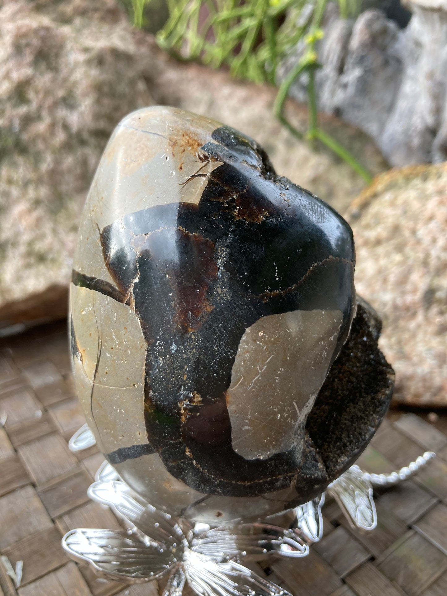 Septarian Egg