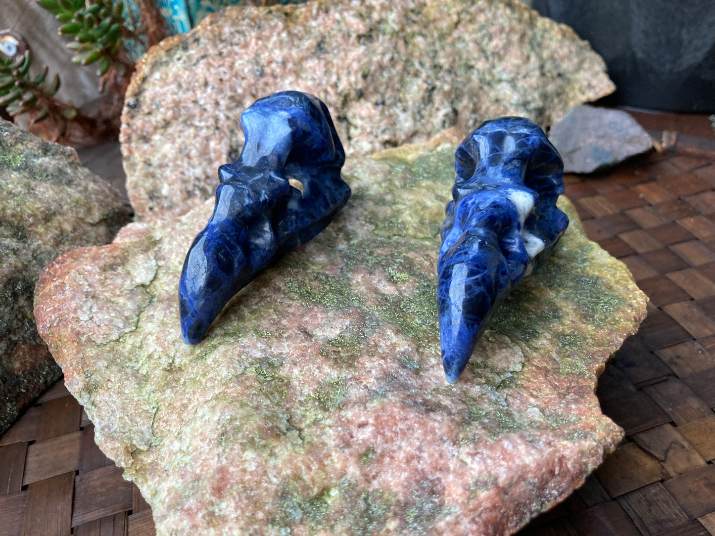 Sodalite Crow Skull