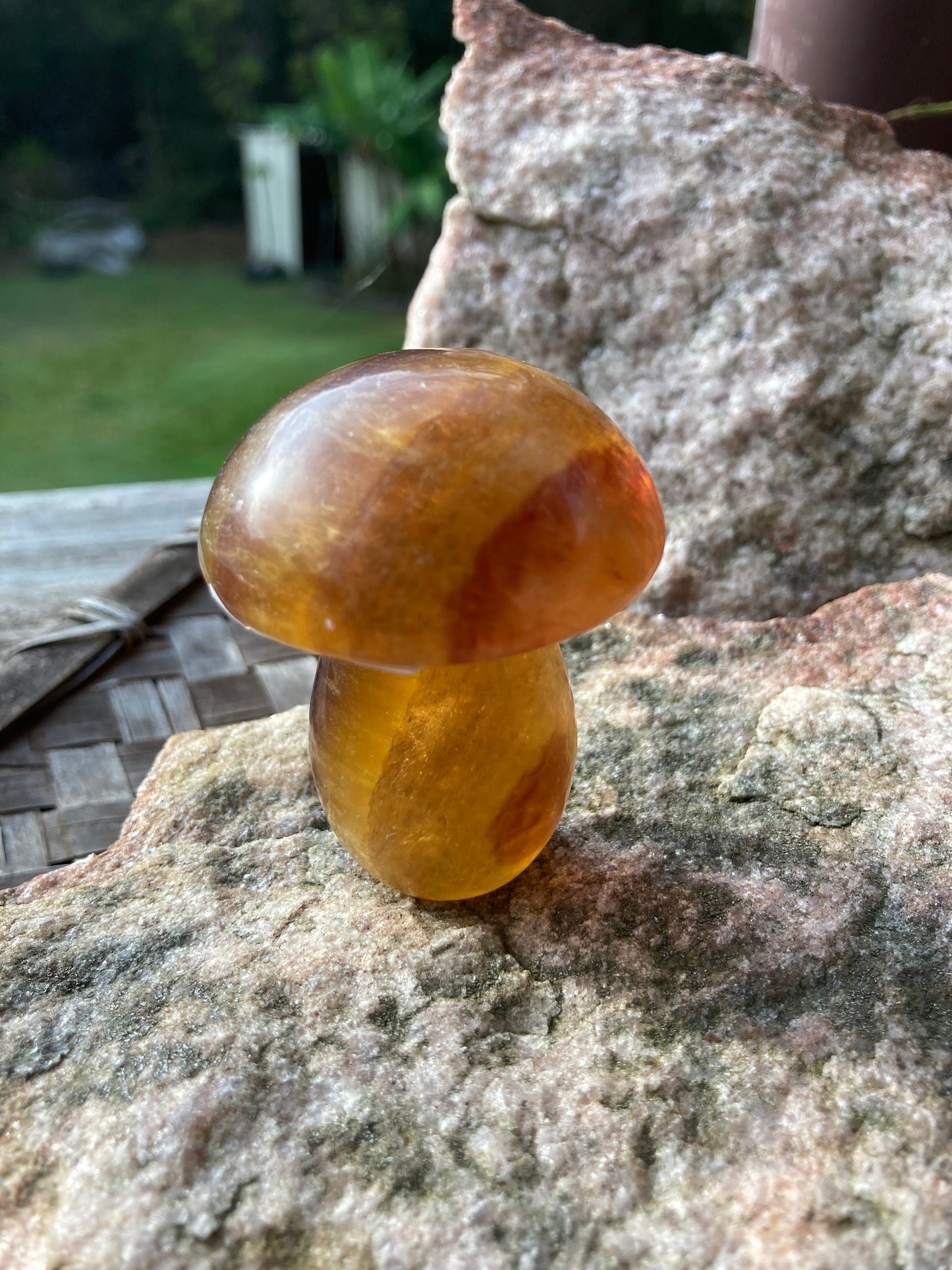 Yellow Fluorite Mushrooms